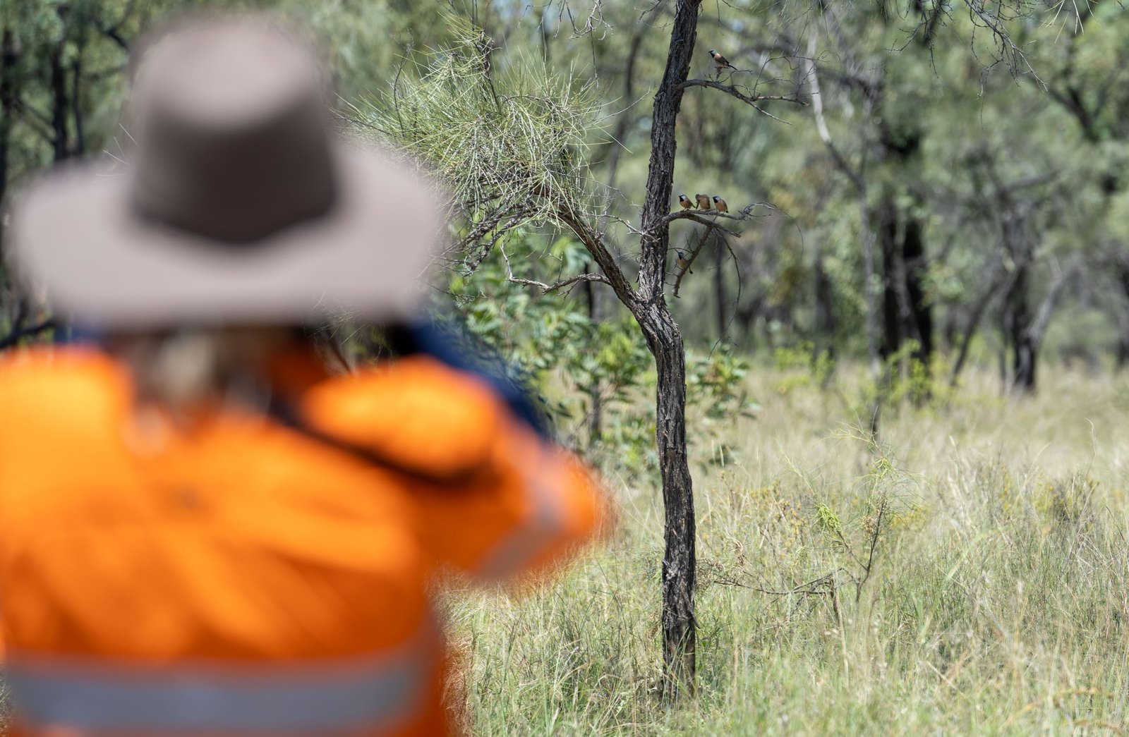 Bravus - Australian Mining Review