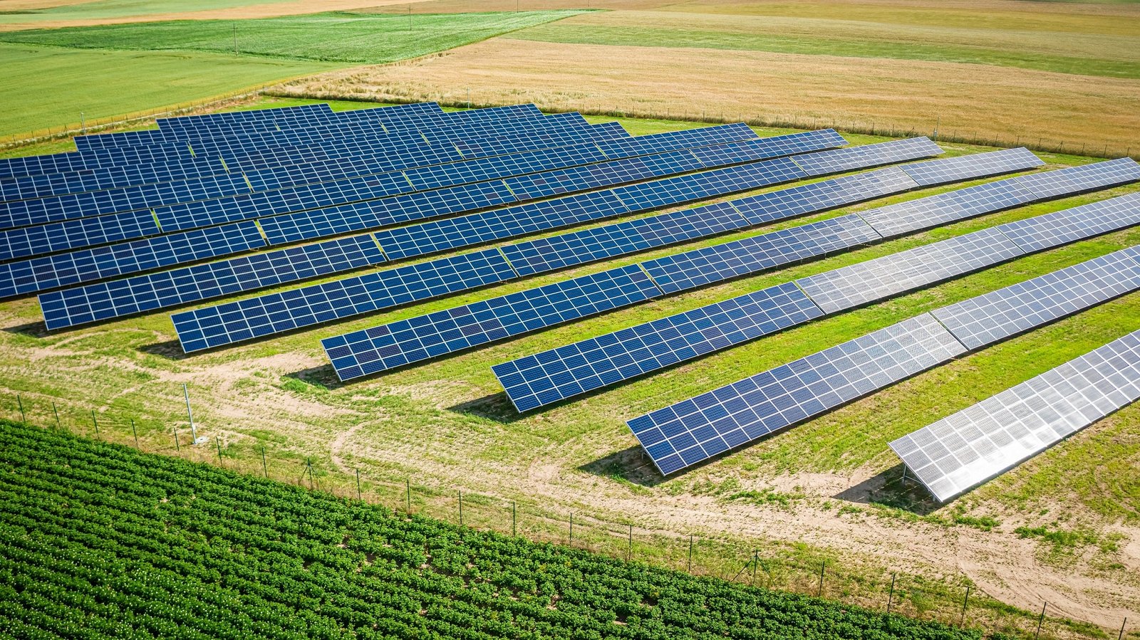 Solar panels on a field.