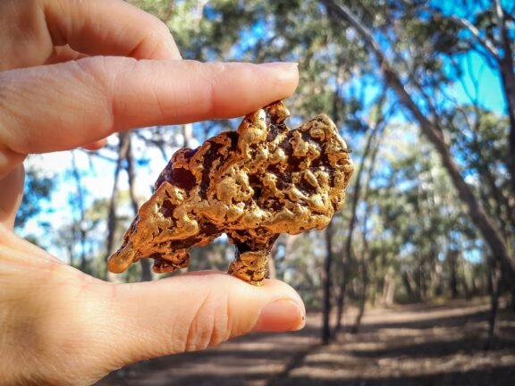 Gold nugget.