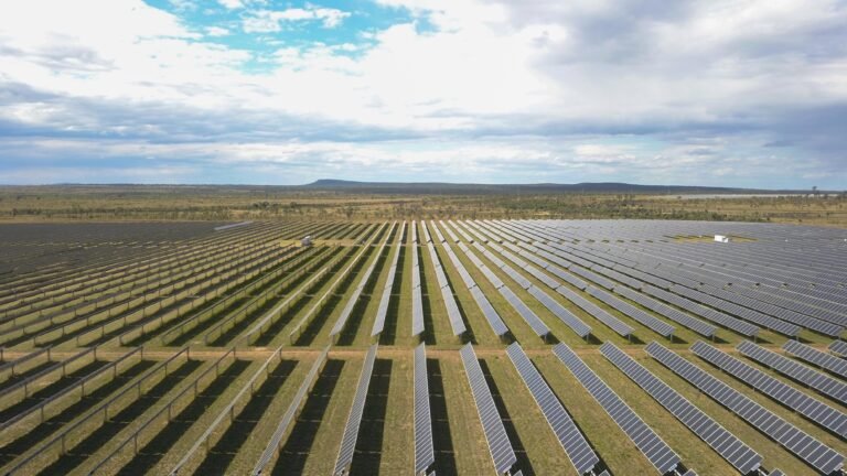 Rugby Run solar farm achieves another top-three performance.