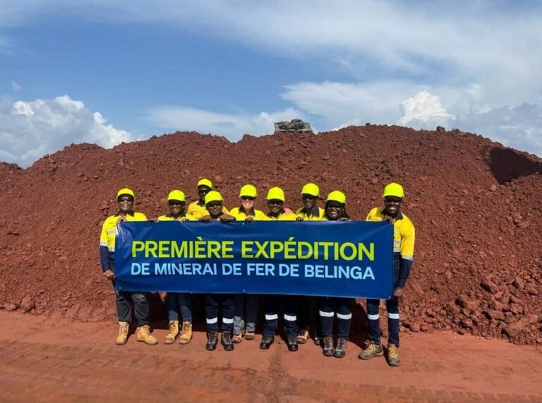 (Image source: Fortescue Metals Group.)