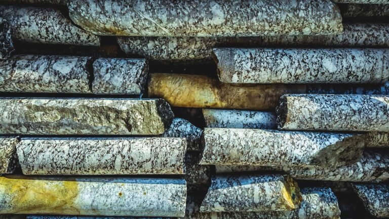 Analysis of drill core is crucial to understanding a region’s geology and the preservation of some of the samples, stockpiled by the former licensee, allows them to be studied without further drilling.