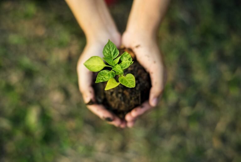 In 2023, Thiess reduced its scope one and two emissions by 21% and 12%, respectively.
