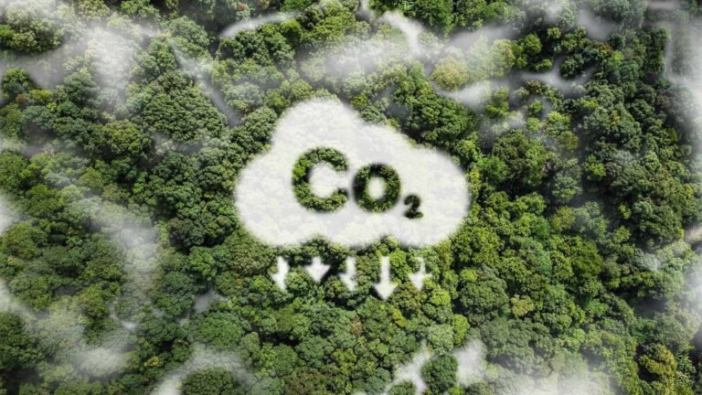 Nine projects across Australia will use the funding to cut yearly emissions by 830kt.