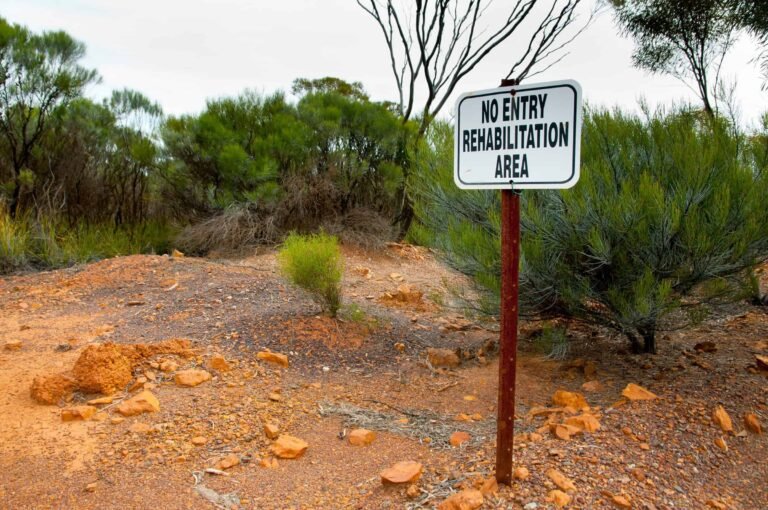 Rio Tinto will manage the Ranger rehabilitation project in the Northern Territory.
