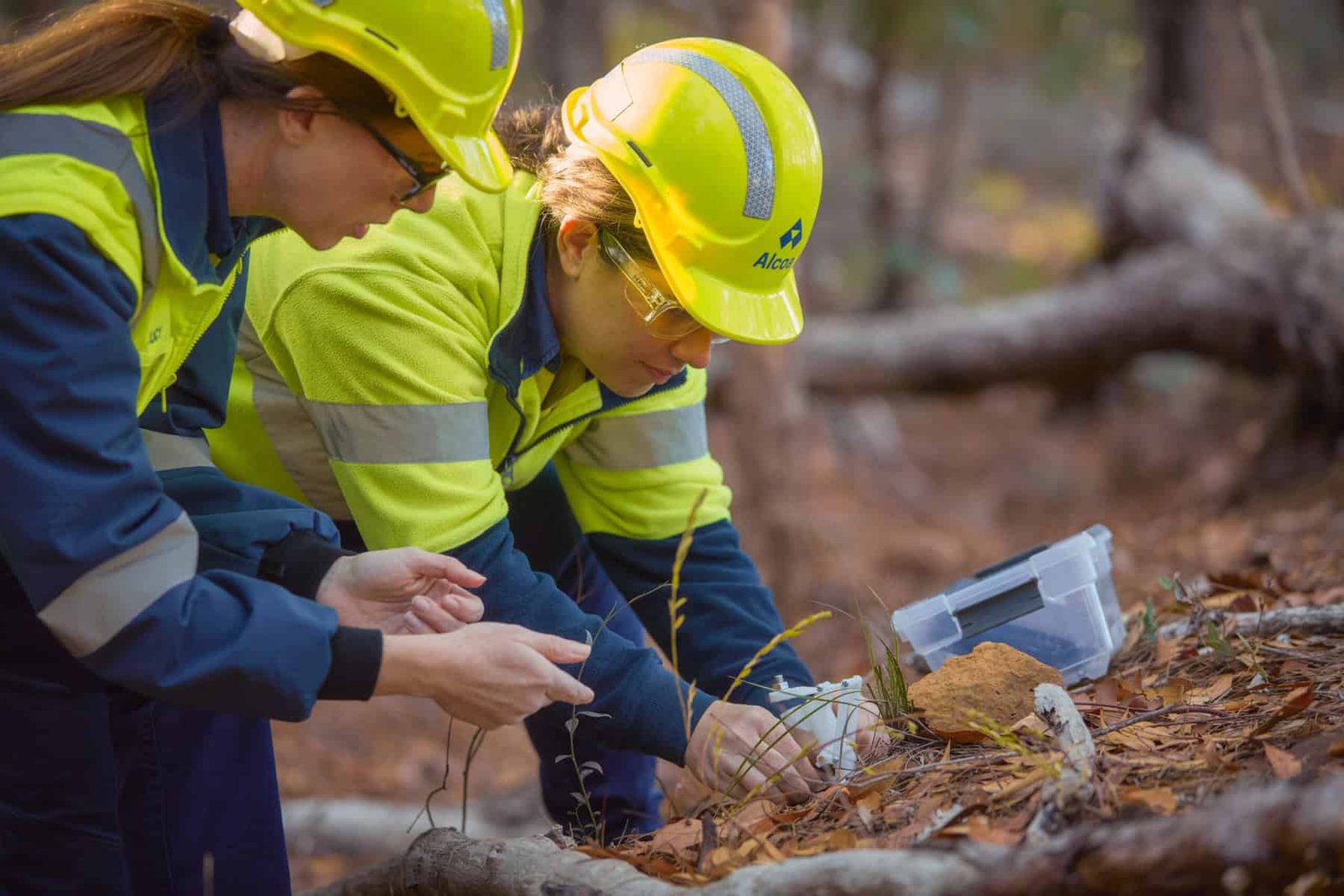 Alcoa environmental research scientists Dr Lucy Commander (left) and Dr Justine Barker set a trap as part of research into trapdoor spiders.