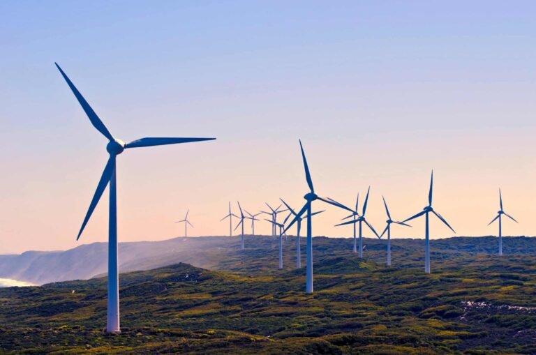The State Government aims to support WA businesses' prequalification processes with wind turbine componentry for original equipment manufacturers (OEMs), the upgrade of plant and equipment and provide professional advice.