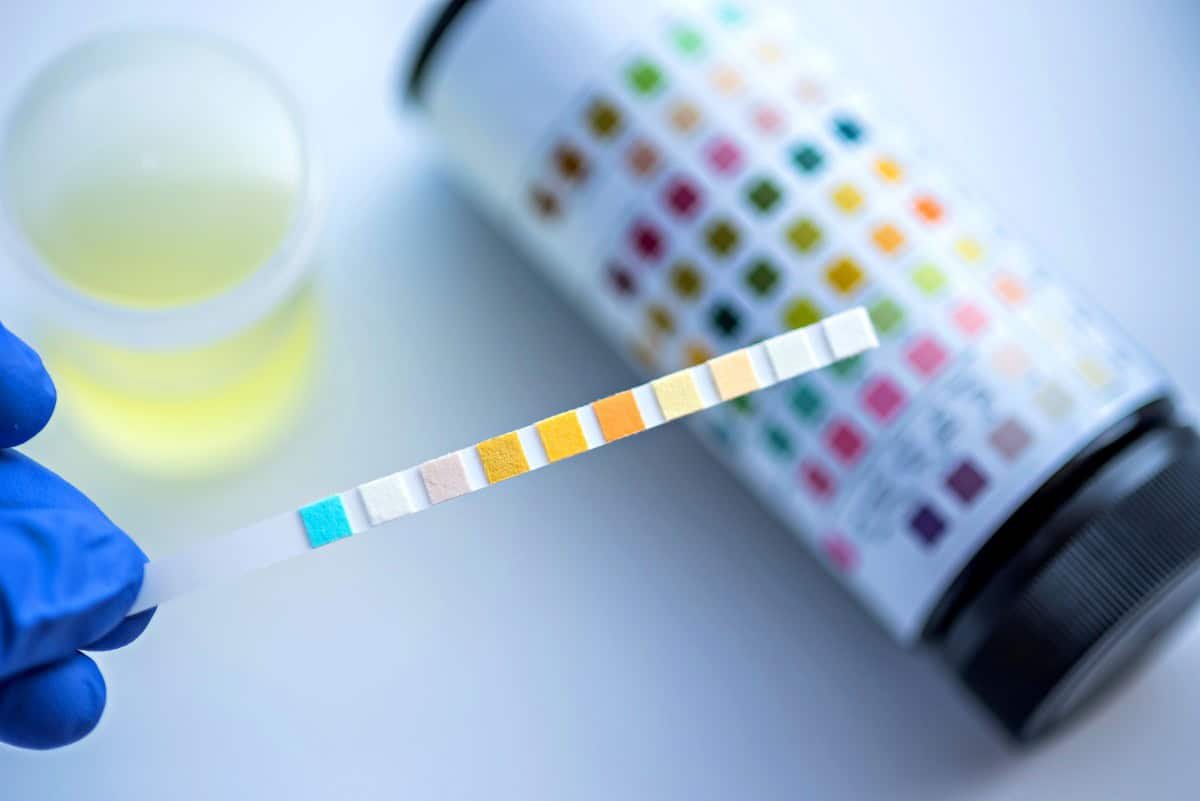 Clinical Labs