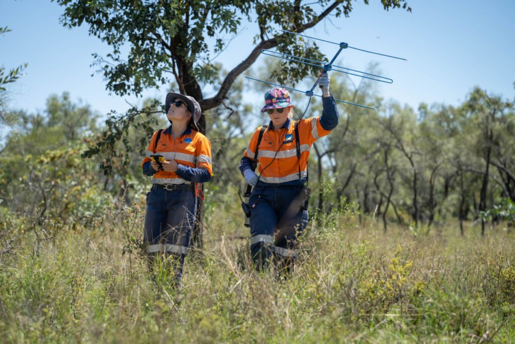 (Image source: Bravus Mining and Resources) Members of the E2M research team downloading data from one of the 10 bioacoustics recorders installed on the Carmichael mining lease and conservation area.
