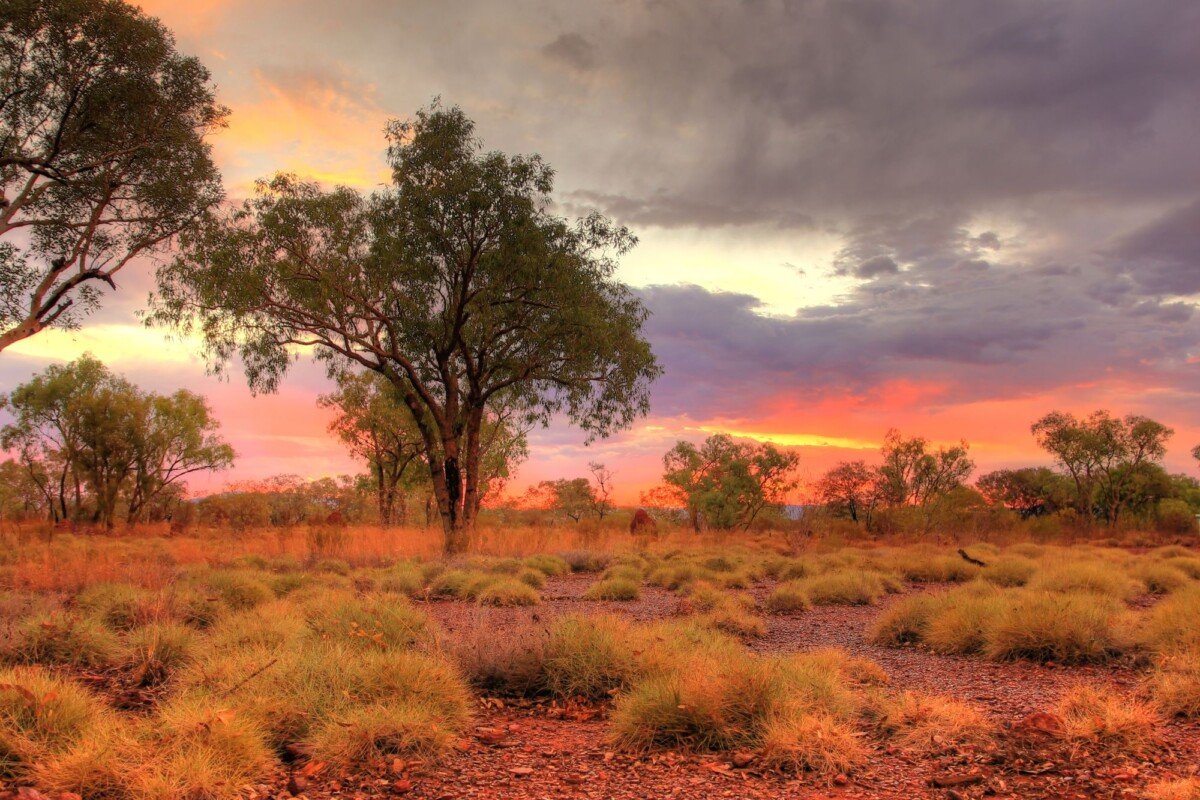 Sunset in the Kimberley region of WA after the cyclone rain.
