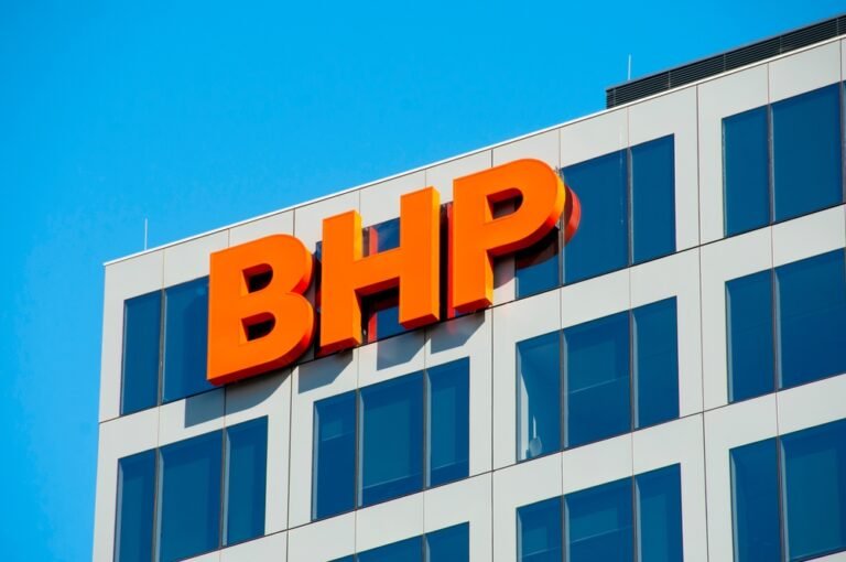 BHP partners with Curtin to tackle toad invasion