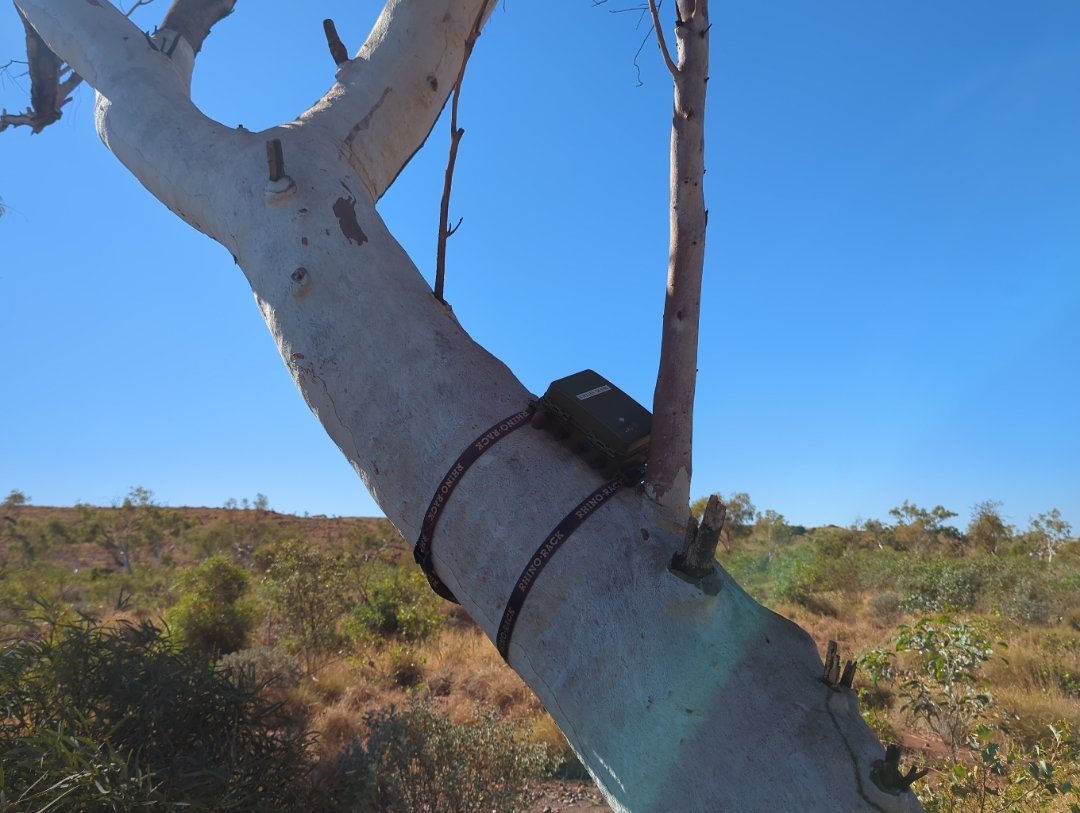 Acoustic Monitoring’ 