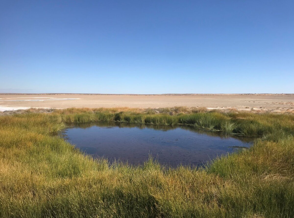 BHP enhances Olympic Dam biodiversity