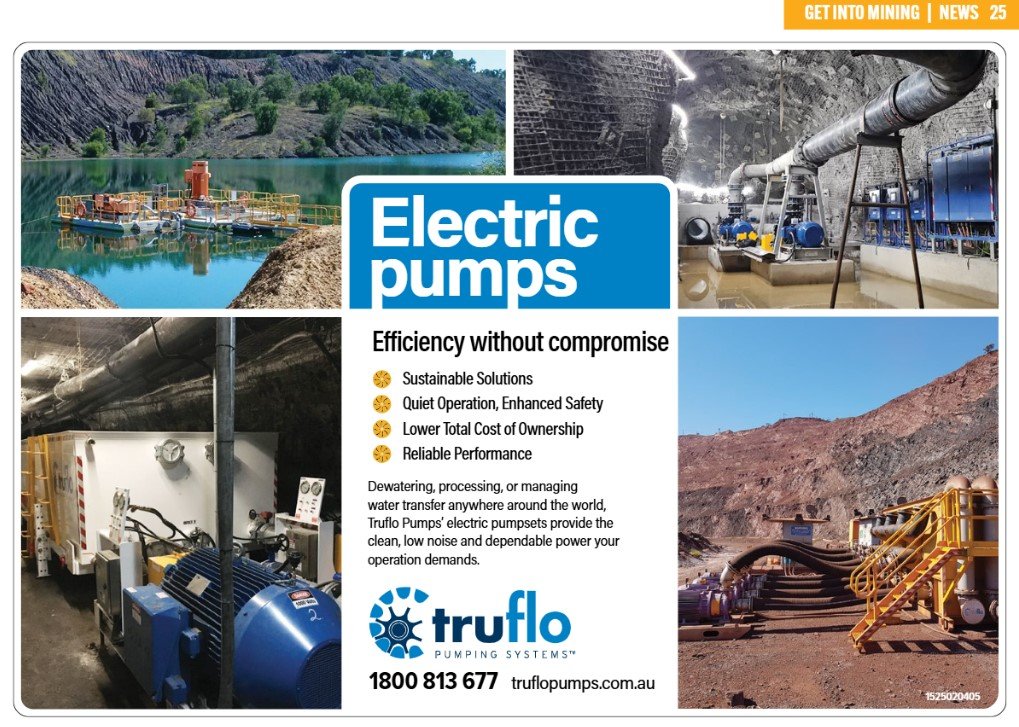  Truflo Electric Pumps 