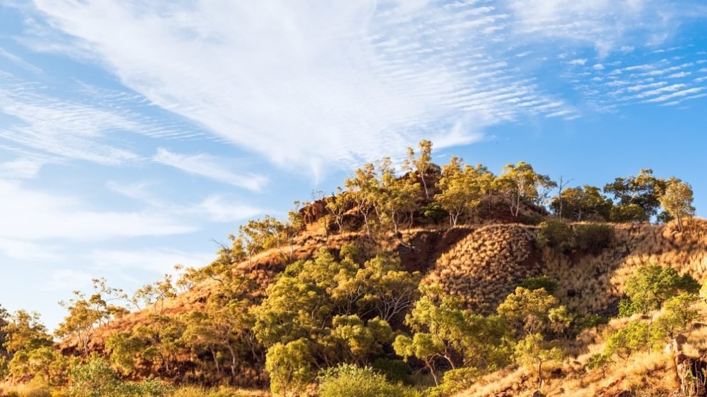 The Dwellingup MAZ is currently 8,344ha.