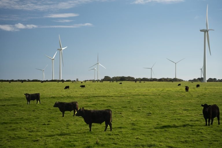 $4.5b WA wheatbelt wind farm advances