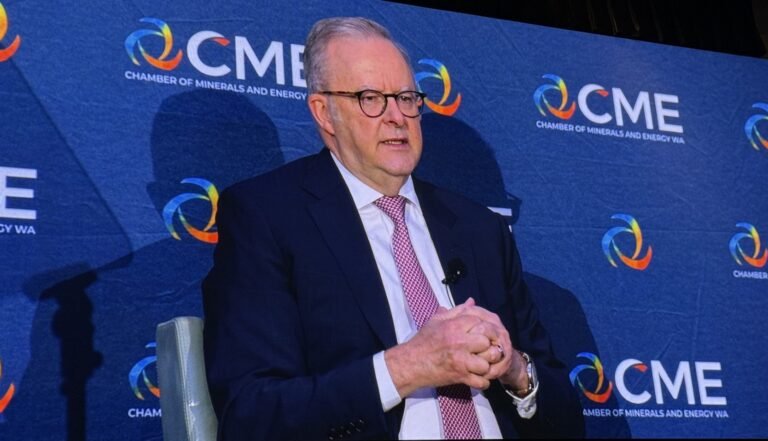 Albanese targets project delays, fuel security in pre-Budget pitch