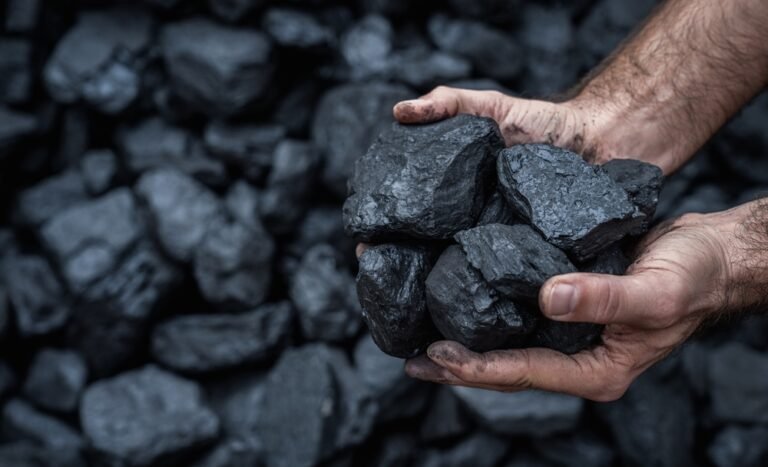 KCG indirectly owns 100% of KCR. KCR holds an 80% participating interest in the unincorporated joint venture that owns the Kestrel coal mine, with the remaining 20% held by Mitsui Kestrel Coal Investment.