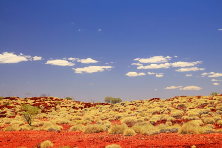 Traditional Owners to appeal $150.1m Fortescue native title penalty